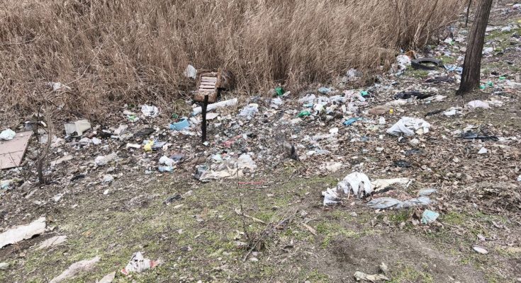 берегах Мокрої