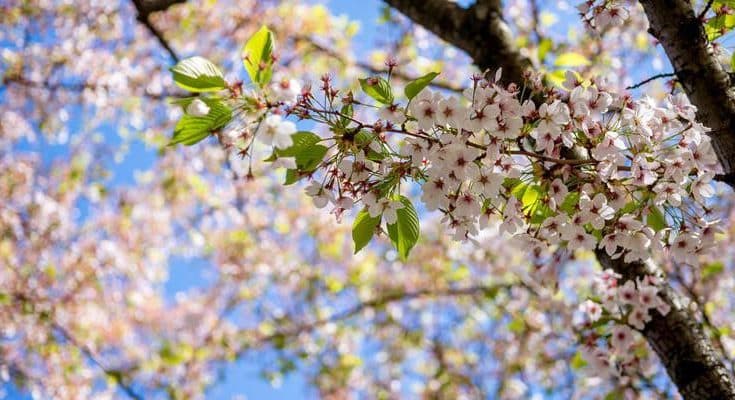 Прогноз погоди