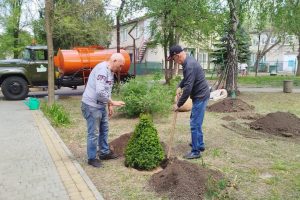 зелених насаджень