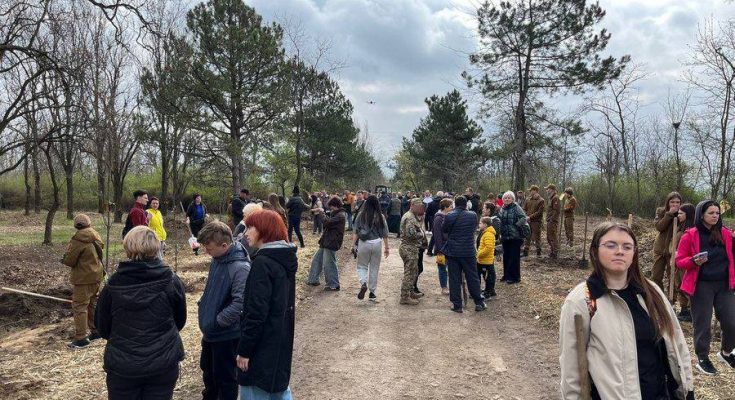 висадили дерева