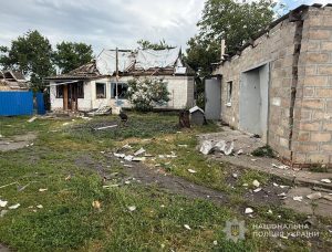 Копані