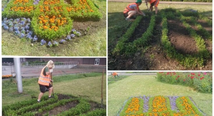 квітковий тризуб