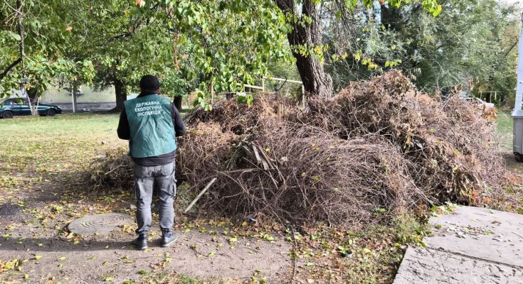 Екологічною інспекцією
