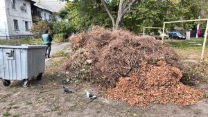 Екологічною інспекцією