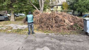 Екологічною інспекцією