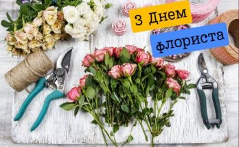 флориста