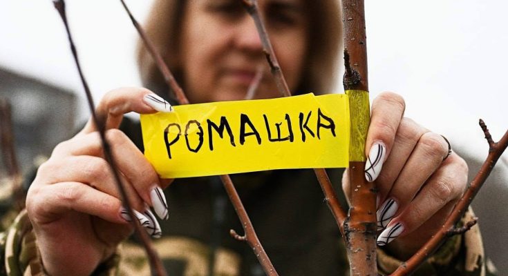 в пам’ять