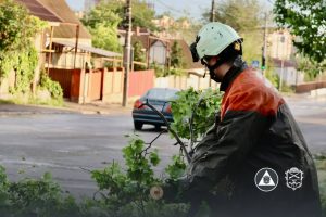 негода наробила 