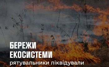 в екосистемах