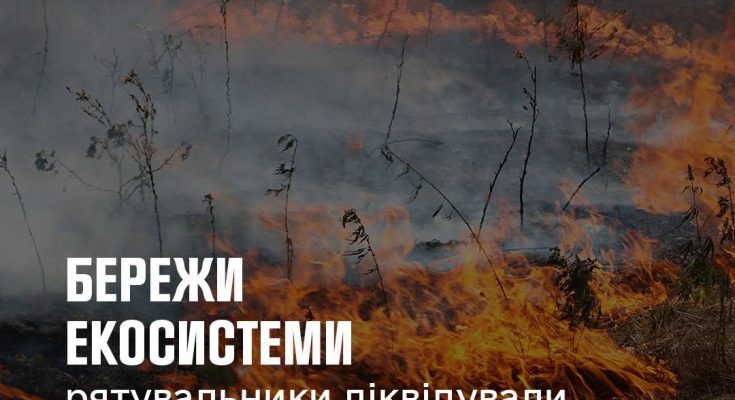 в екосистемах